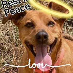 Meet your Posher, Clair